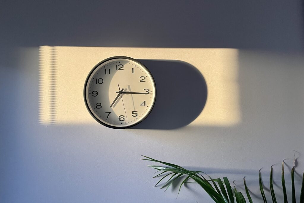 a clock on a wall with a plant next to it